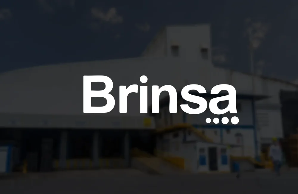 brinsa-crear4d